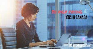 What is the Highest Paying Job in Canada